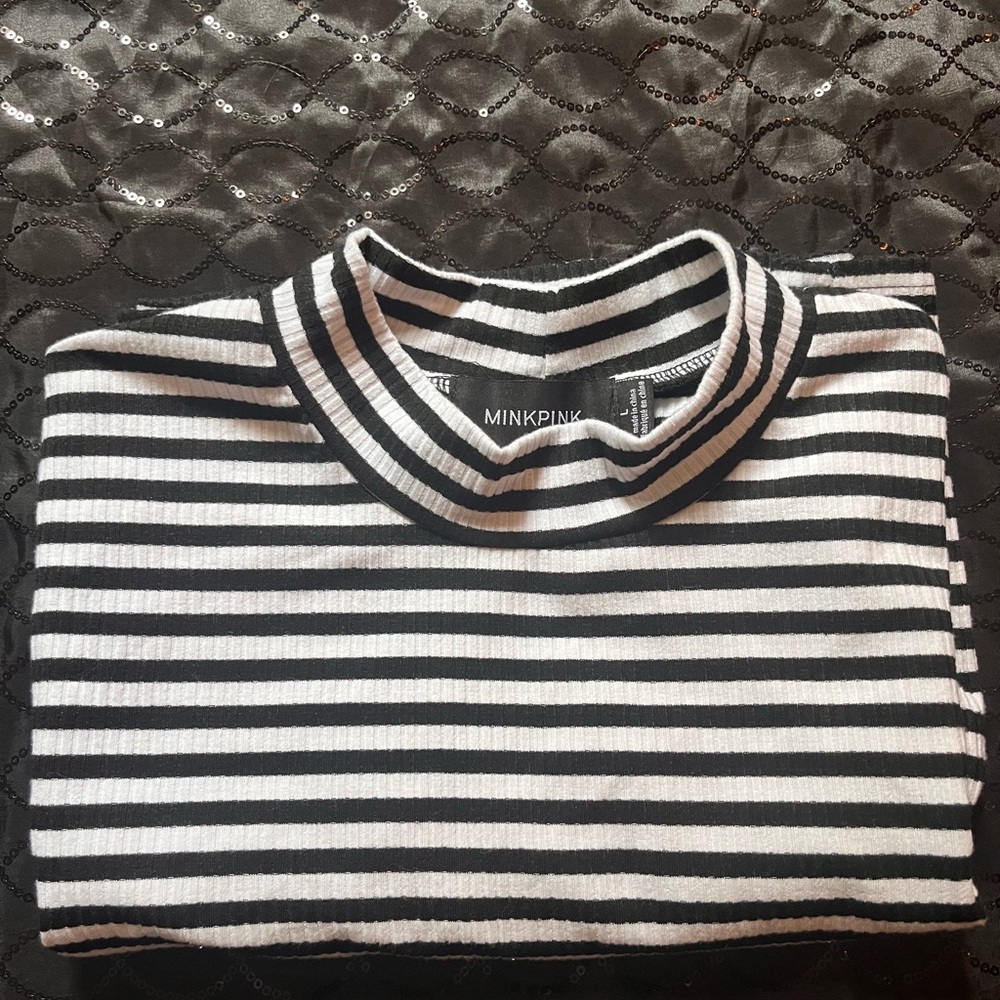 Mini Pink Crop Top